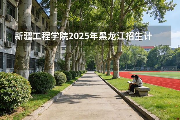 新疆工程学院2025年黑龙江招生计划总览（2026高考志愿参考）