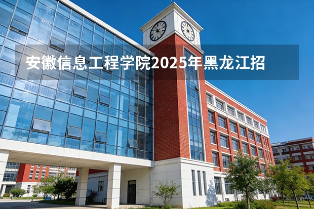 安徽信息工程学院2025年黑龙江招生计划总览（2026高考志愿参考）