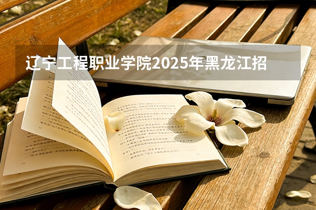 辽宁工程职业学院2025年黑龙江招生计划总览（2026高考志愿参考）