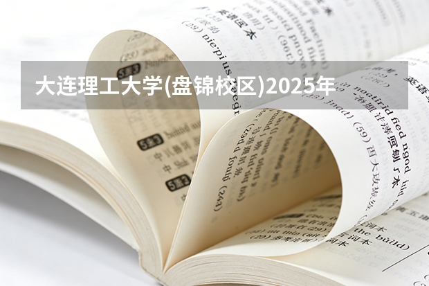 大连理工大学(盘锦校区)2025年黑龙江招生计划总览（2026高考志愿参考）