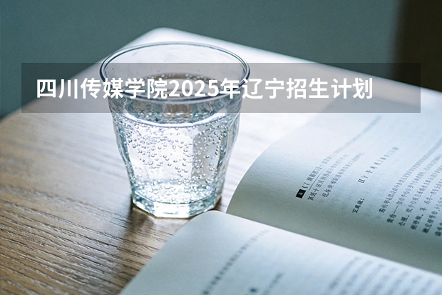 四川传媒学院2025年辽宁招生计划总览（2026高考志愿参考）