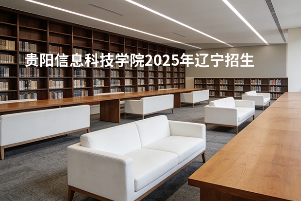贵阳信息科技学院2025年辽宁招生计划总览（2026高考志愿参考）