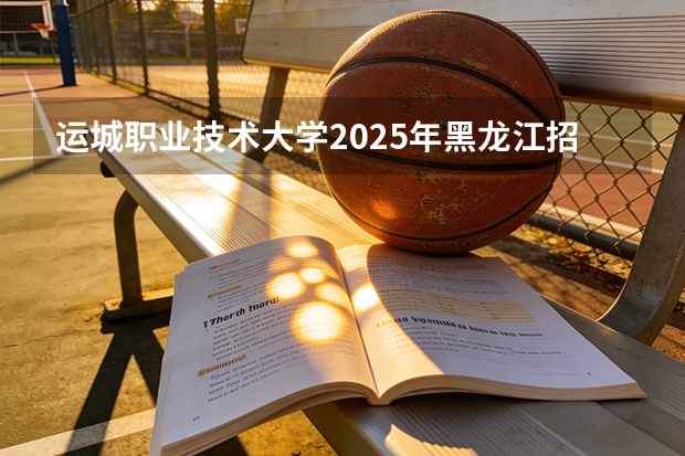 运城职业技术大学2025年黑龙江招生计划总览（2026高考志愿参考）