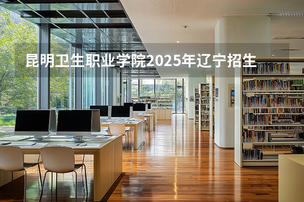 昆明卫生职业学院2025年辽宁招生计划总览（2026高考志愿参考）