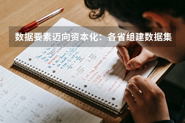 数据要素迈向资本化：各省组建数据集团加速流通变现