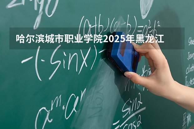 哈尔滨城市职业学院2025年黑龙江招生计划总览（2026高考志愿参考）