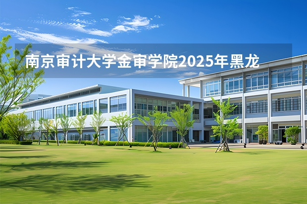 南京审计大学金审学院2025年黑龙江招生计划总览（2026高考志愿参考）