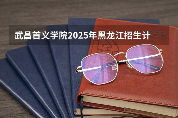 武昌首义学院2025年黑龙江招生计划总览（2026高考志愿参考）