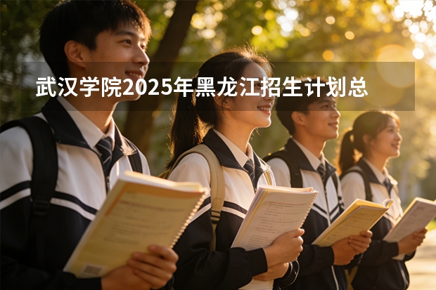 武汉学院2025年黑龙江招生计划总览（2026高考志愿参考）