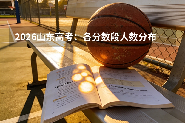 2026山东高考：各分数段人数分布与竞争态势分析
