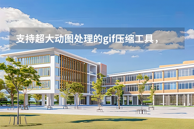 支持超大动图处理的gif压缩工具，几十兆录屏动图快速压缩导出