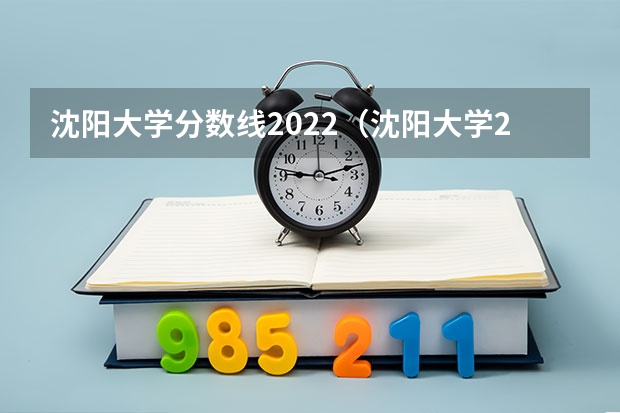 沈阳大学分数线2022（沈阳大学2022录取分数线）