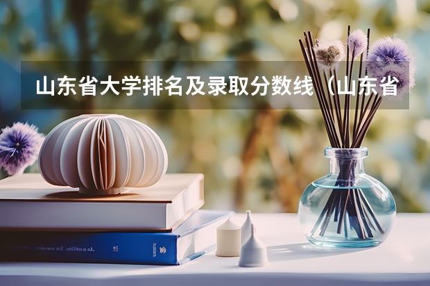 山东省大学排名及录取分数线（山东省公办二本大学排行榜及分数线）