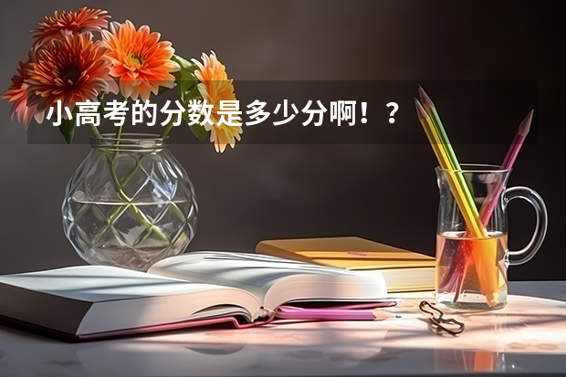 小高考的分数是多少分啊！？