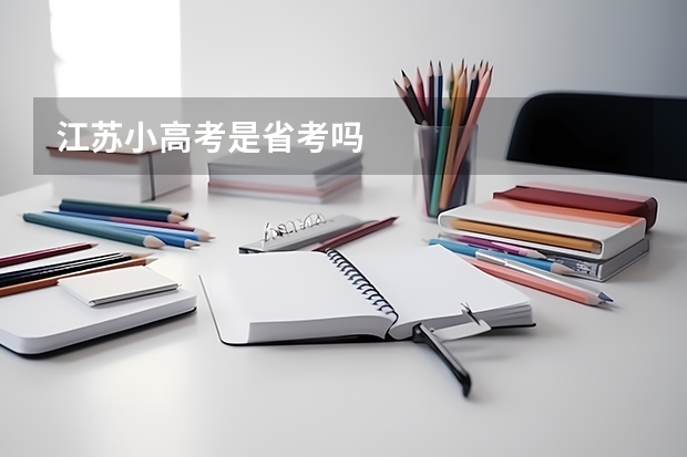 江苏小高考是省考吗