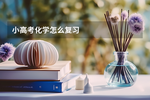 小高考化学怎么复习