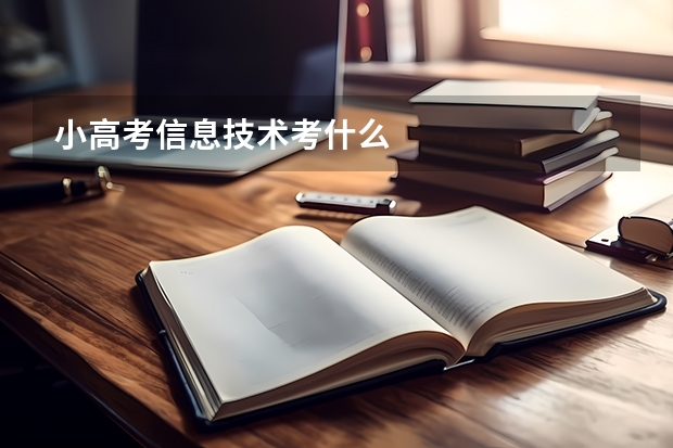 小高考信息技术考什么