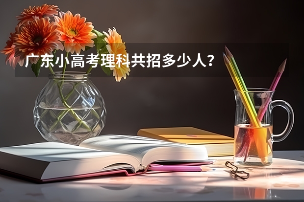 广东小高考理科共招多少人？
