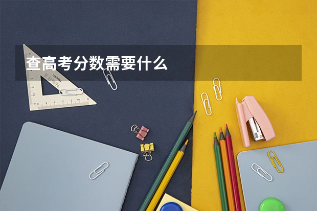 查高考分数需要什么