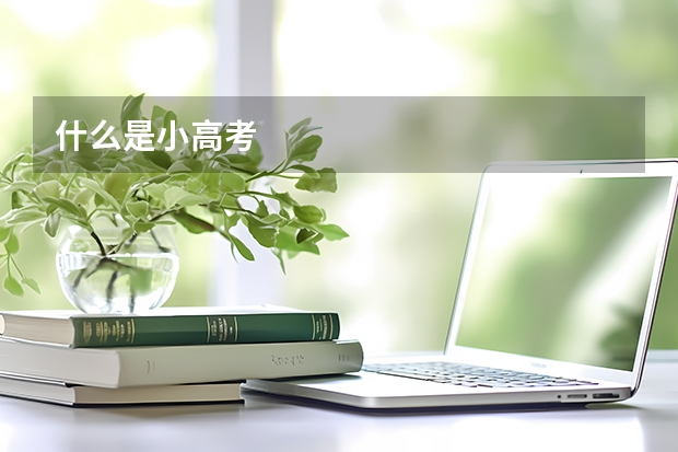 什么是小高考