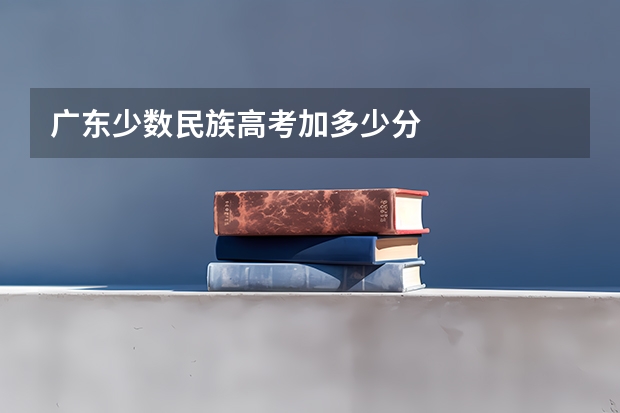 广东少数民族高考加多少分