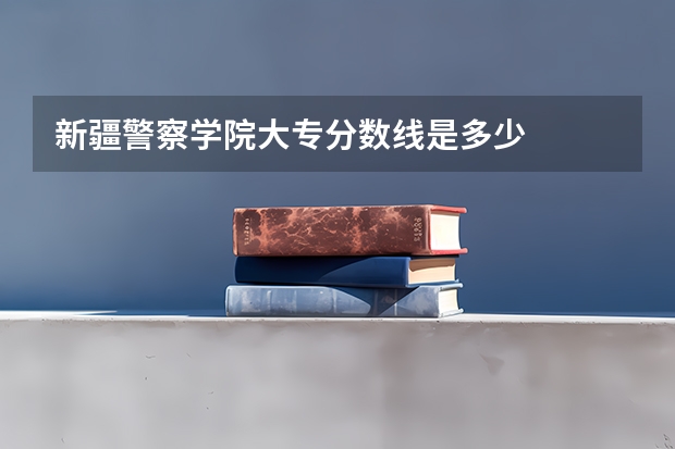 新疆警察学院大专分数线是多少