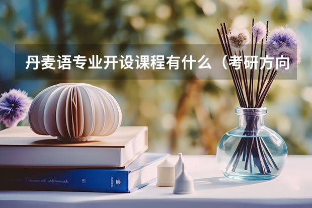 丹麦语专业开设课程有什么（考研方向）