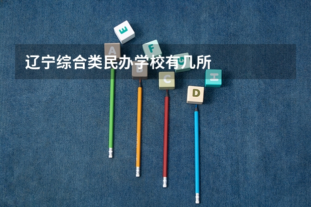 辽宁综合类民办学校有几所