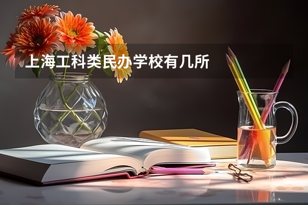 上海工科类民办学校有几所