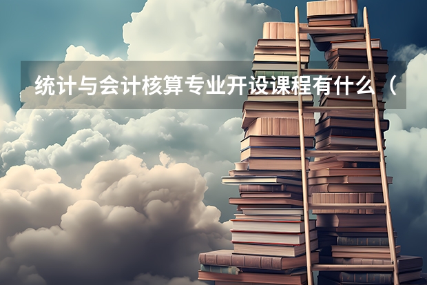 统计与会计核算专业开设课程有什么（考研方向）