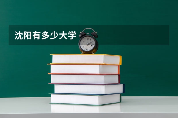 沈阳有多少大学