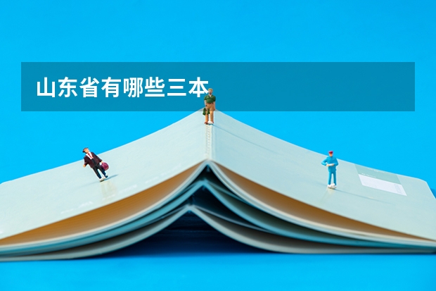 山东省有哪些三本