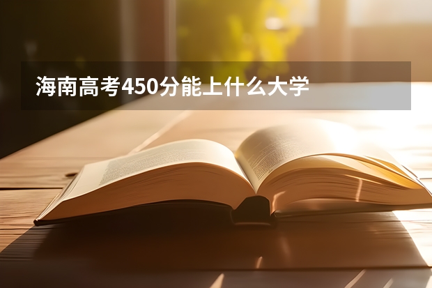 海南高考450分能上什么大学
