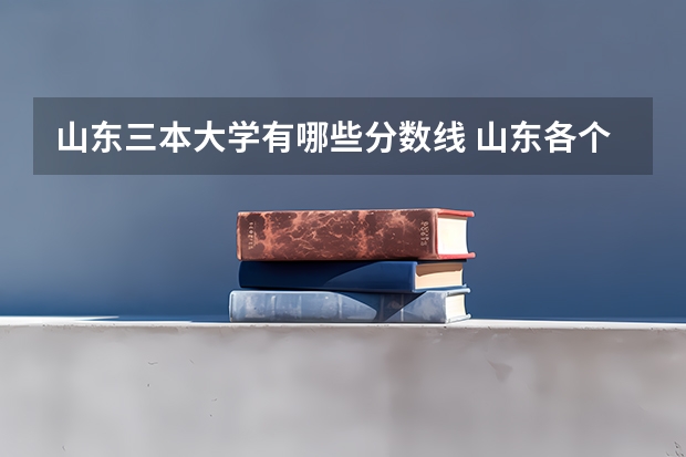 山东三本大学有哪些分数线 山东各个大学录取分数线