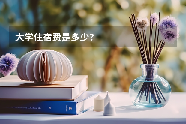 大学住宿费是多少？