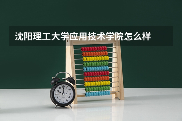 沈阳理工大学应用技术学院怎么样