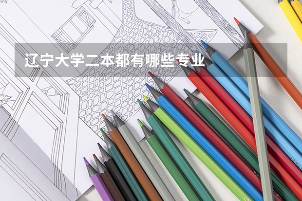 辽宁大学二本都有哪些专业