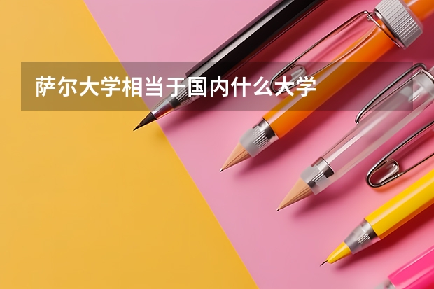 萨尔大学相当于国内什么大学