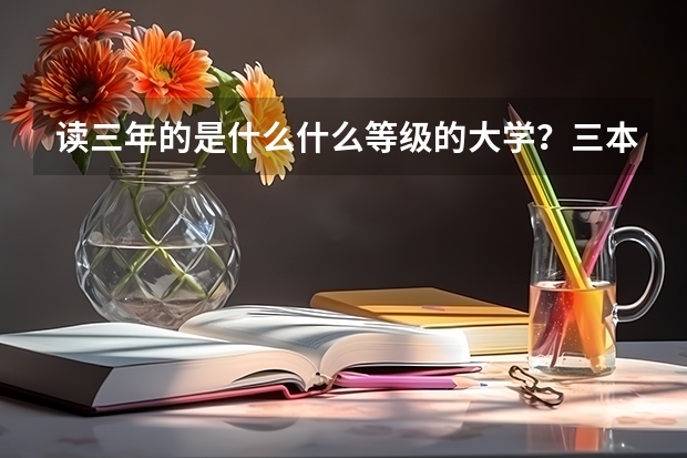 读三年的是什么什么等级的大学？三本还是本科还是、、？